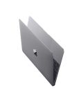 Apple MacBook 12inch | 1.2GHz Processor | 256GB Storage - Space Grey BG  - 2t
